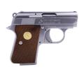 Colt 25 Silver Full Metal Gaz Blowback WE